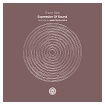 Thom Rich: Expression of Sound (DP-6 remix)