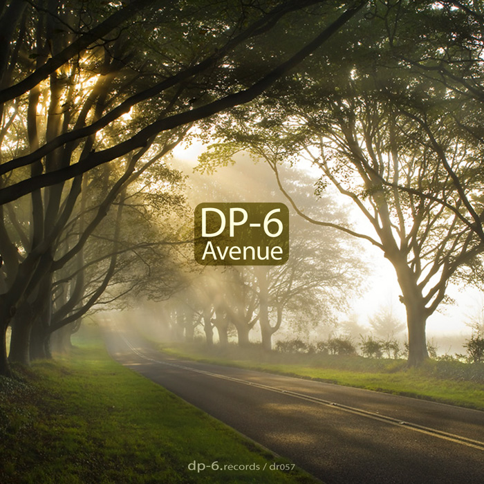 DP-6 RECORDS DP-6 AVENUE