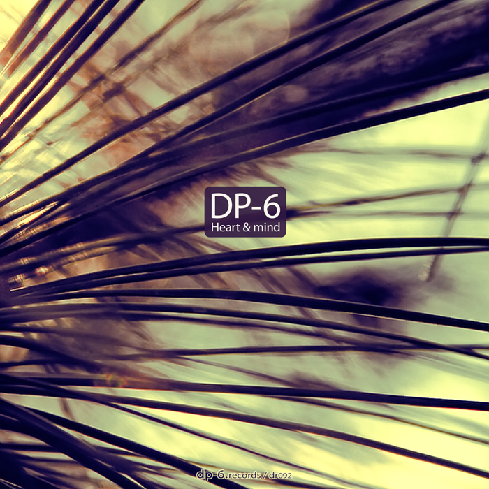 DP-6: Heart & Mind