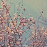 Dr.Bass: Spring Story