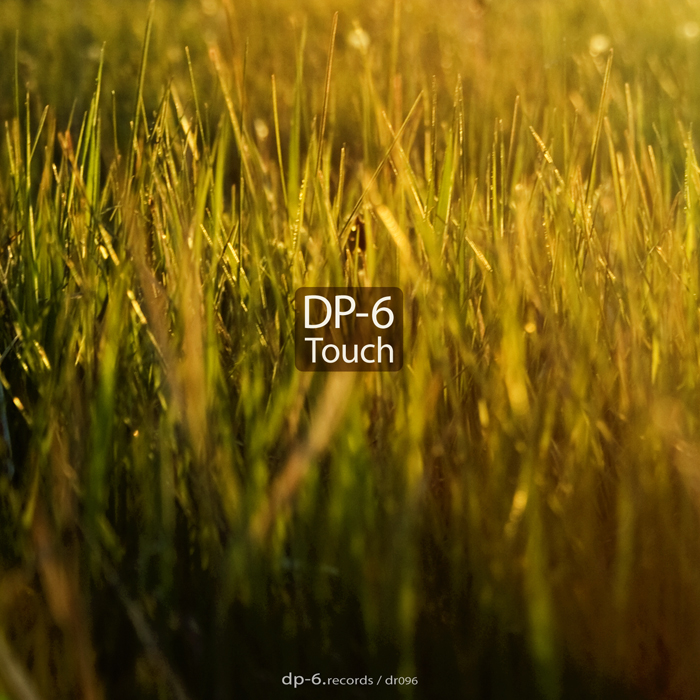 DP-6: Touch