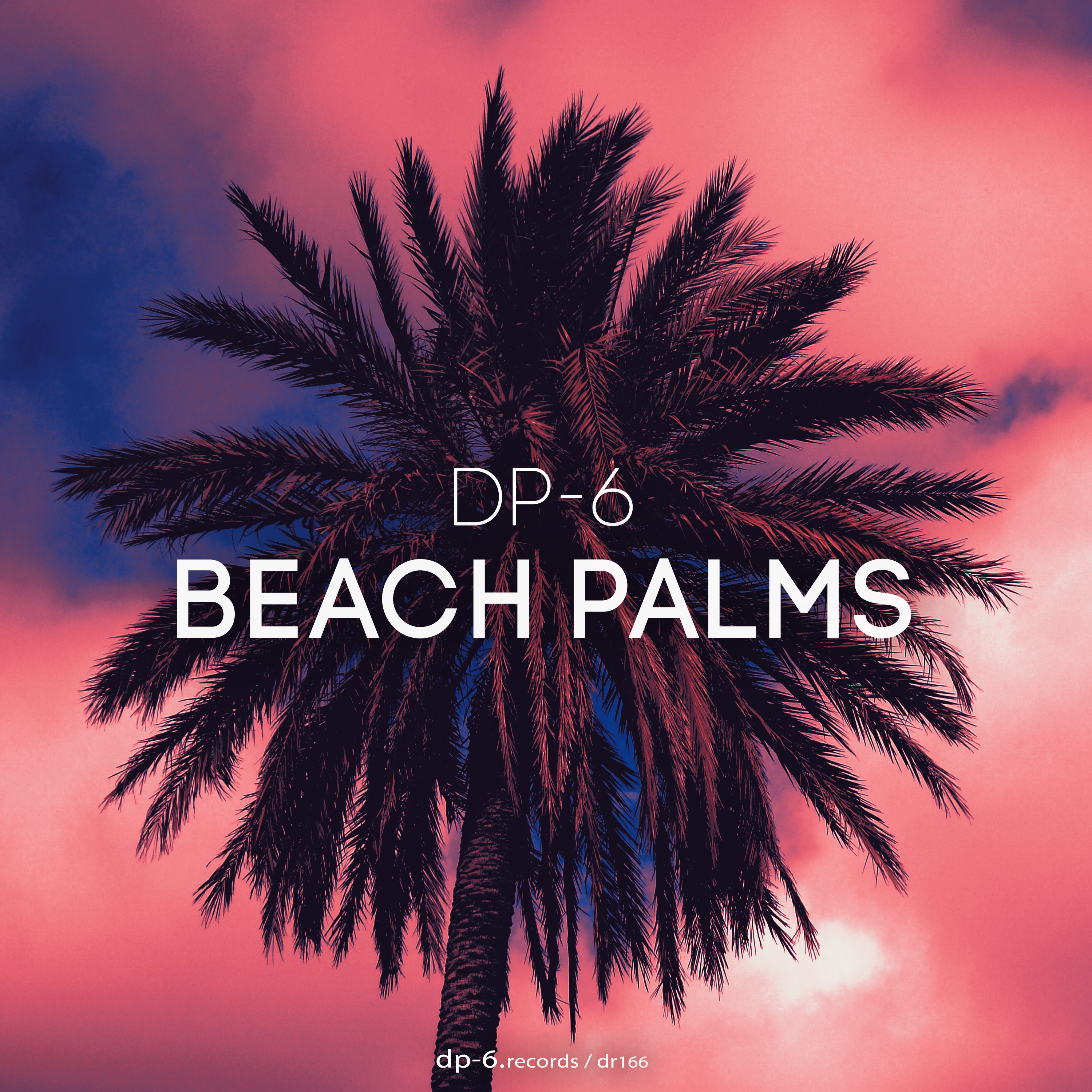 DR166 DP-6: Beach Palms