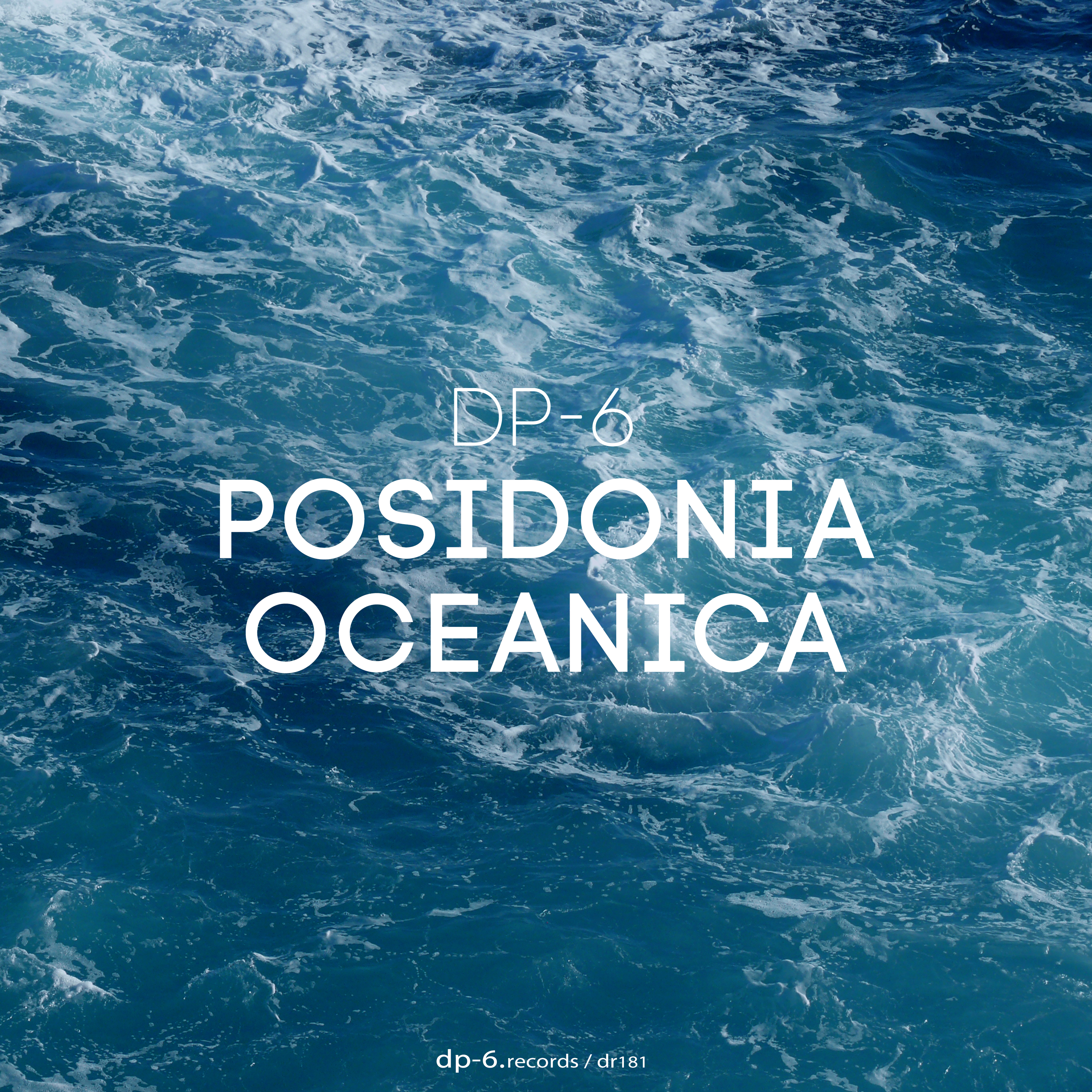 DP-6: Posidonia Oceanica