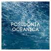 DR181 DP-6: Posidonia Oceanica