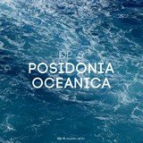 DR181 DP-6: Posidonia Oceanica