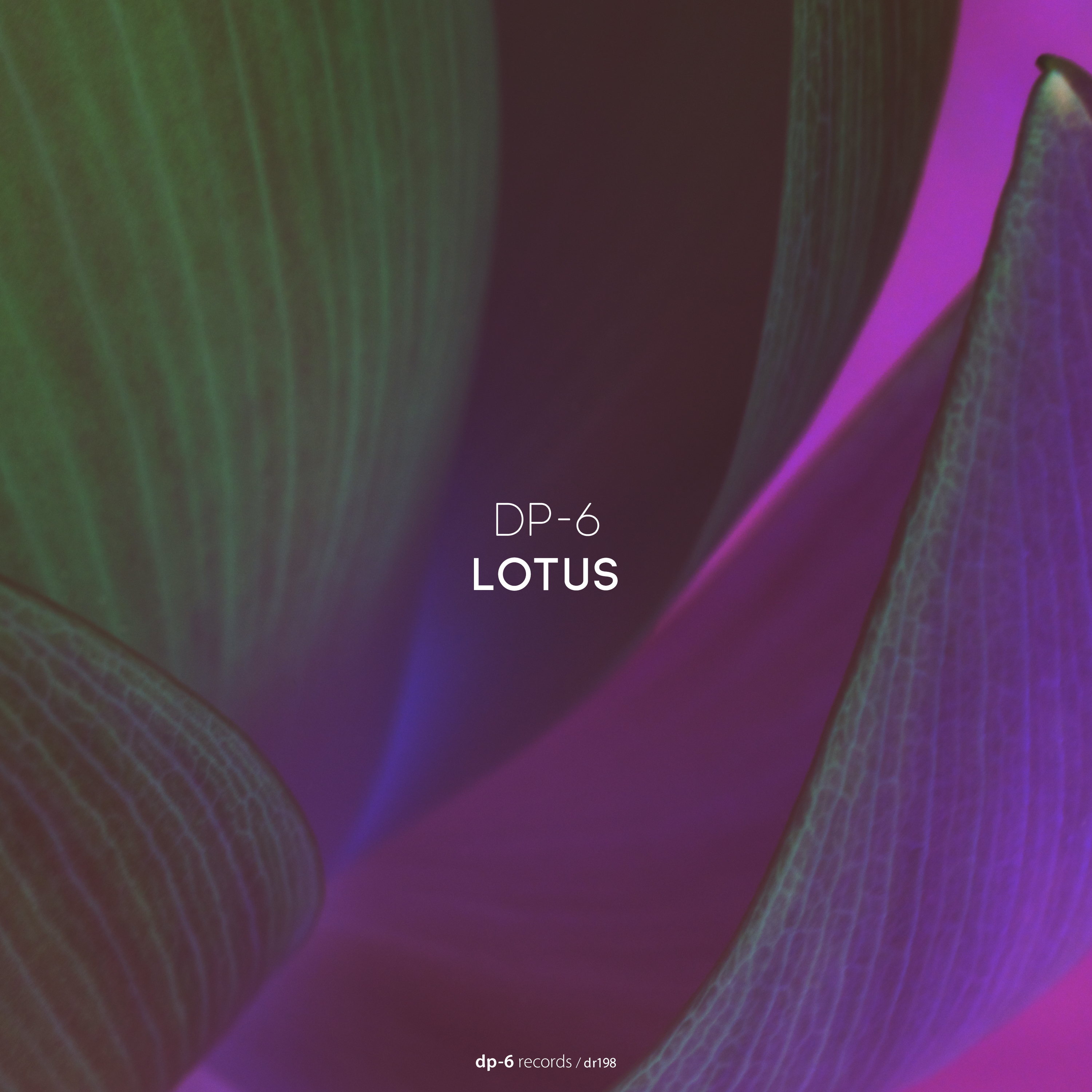 DP-6: Lotus
