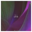 DR198 DP-6: Lotus