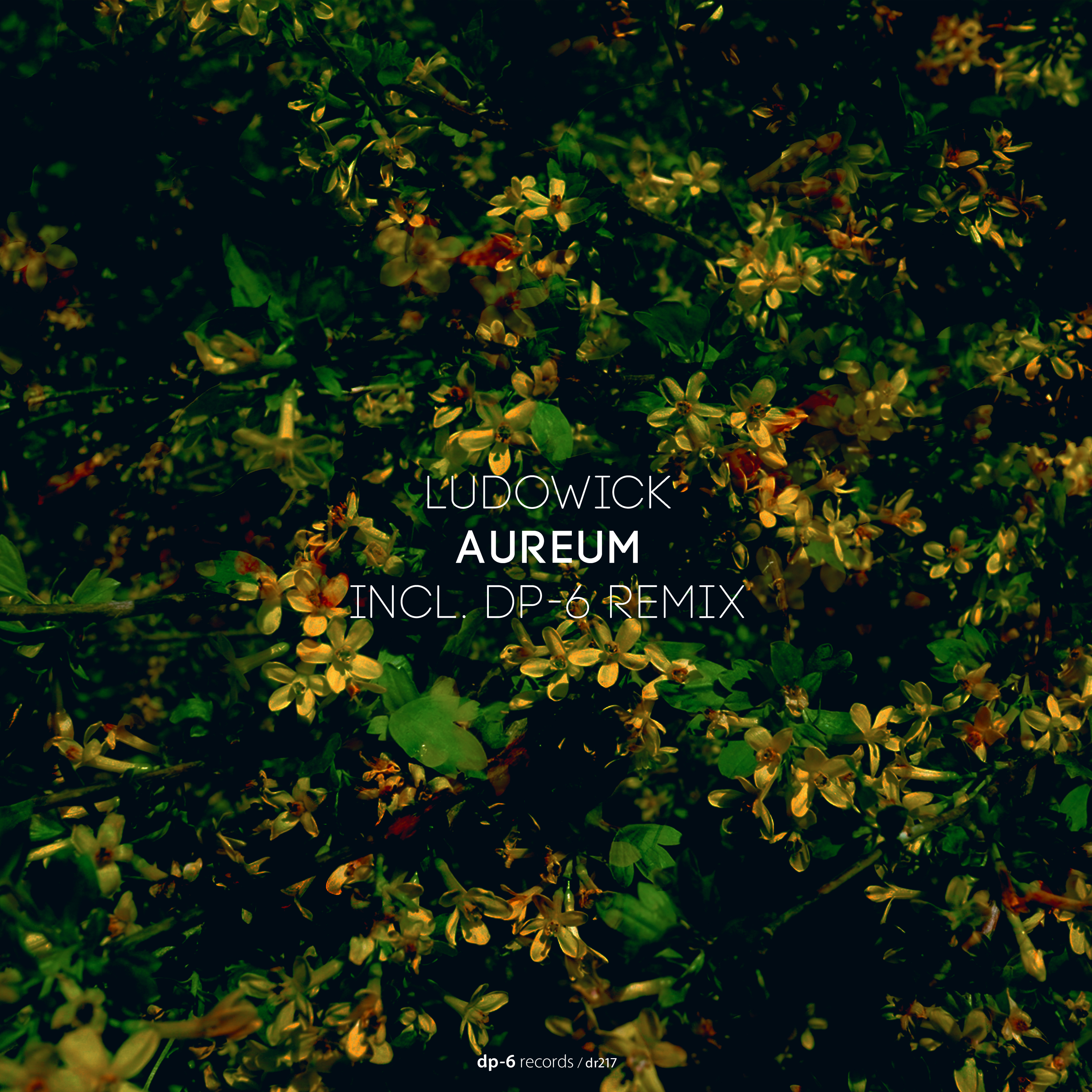 Ludowick: Aureum
