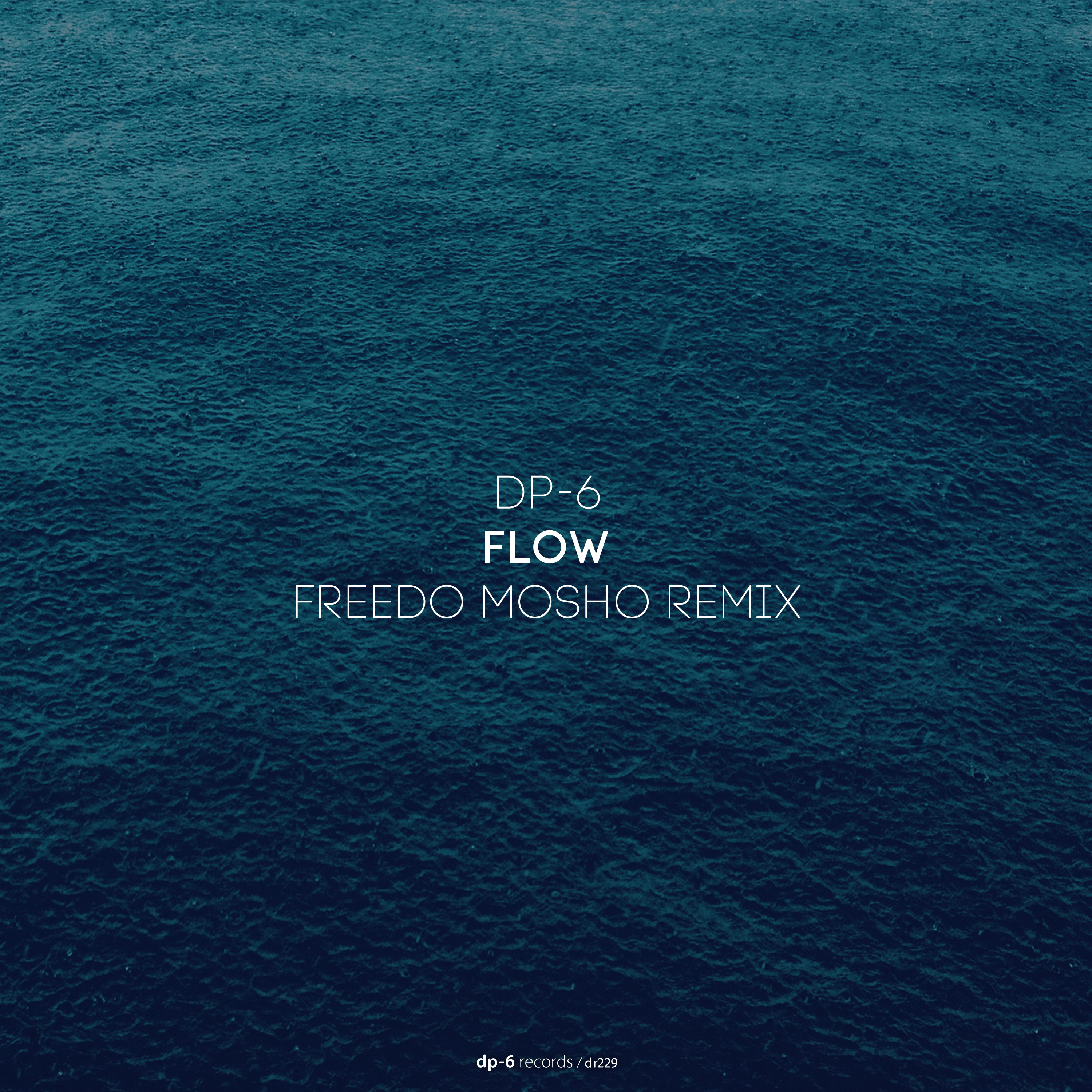 DP-6 - Flow (Freedo Mosho remix)