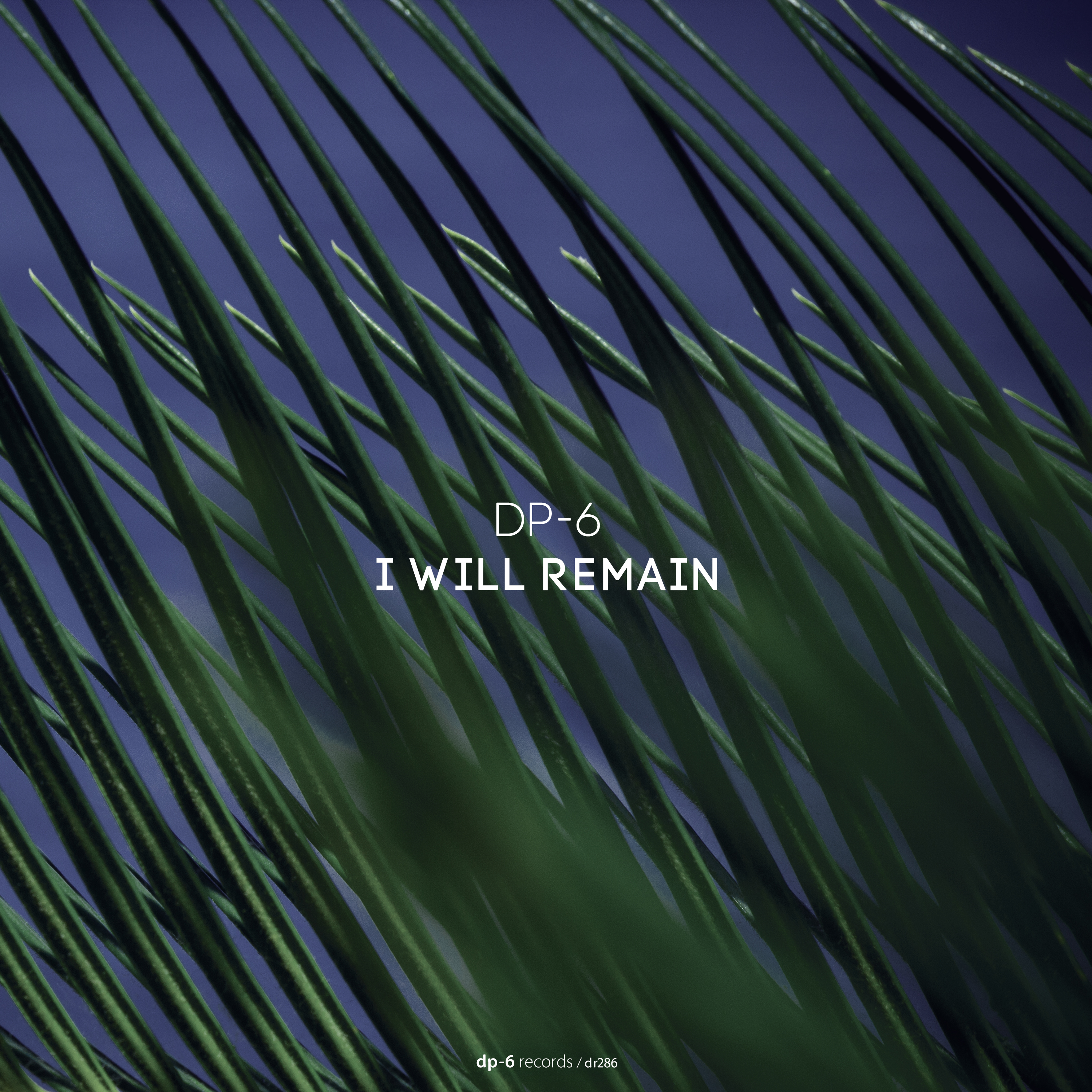DP-6: I Will Remain