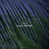 DP-6: I Will Remain