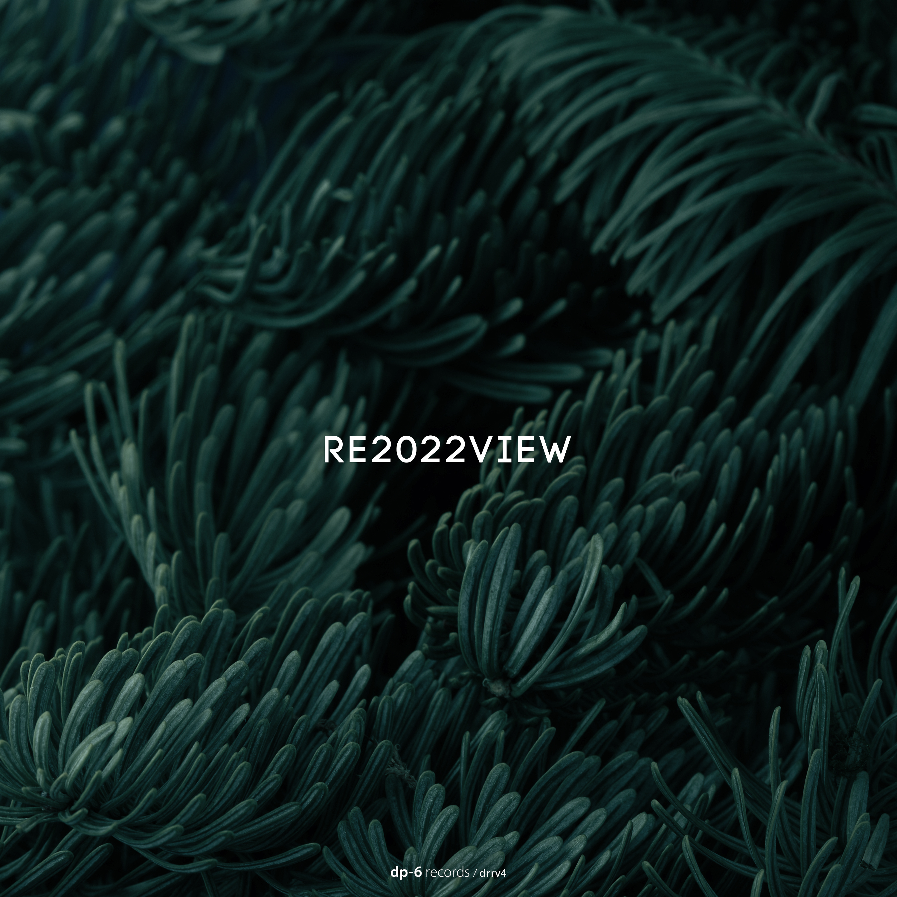 RE2022VIEW