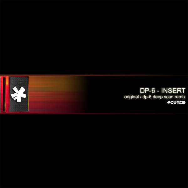 DP-6 INSERT